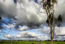 德甲杜塞多夫对阵波鸿,谁能在这场较量中占得先机?