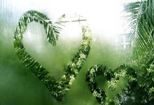 2024巴西甲级联赛有哪些不容错过的看点?